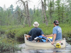 Two canoeists paddling up a small channel in a wetland.