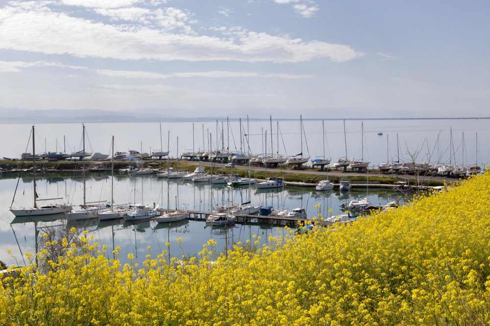 Winds of Change: Yachting Tourism in Greece