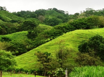 Panama Landscape