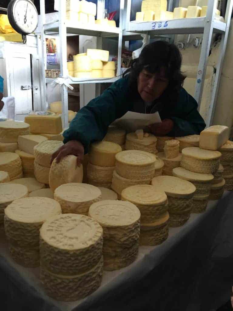 cheese wheels with women looking overtop