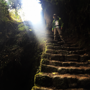Tyler Sorce - The Inca Trail - Four Days in the Footsteps of History, pic 9