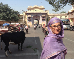 ad-india-rajasthan-peta-dons-a-lilac-dupatta