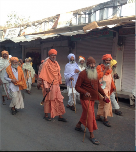 q-india-rajasthan-village-elders-and-wise-men-on-walk-to-holy-lake