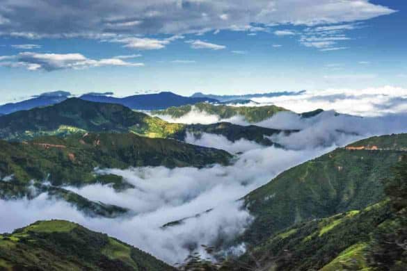 UPDATE: Southeast Asian Teak Bans Go into Effect