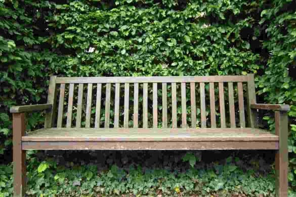 Dispelling the Myth of “Teak Oil”