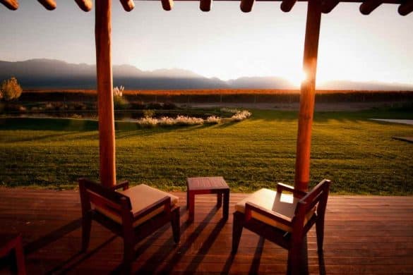 Mendoza and the Vineyards