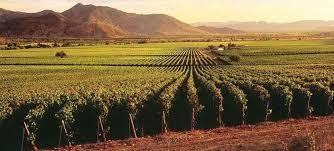 From the Andes to Santa Cruz