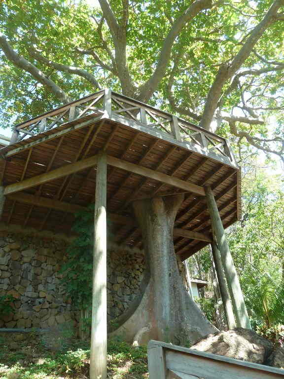 Enchanted Tree Houses of Nicaragua