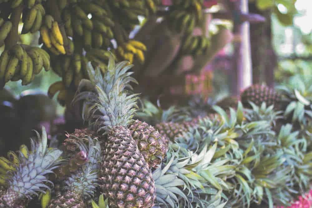 A Juicy Afternoon Pick-Me-Up on Ambergris Caye, Belize