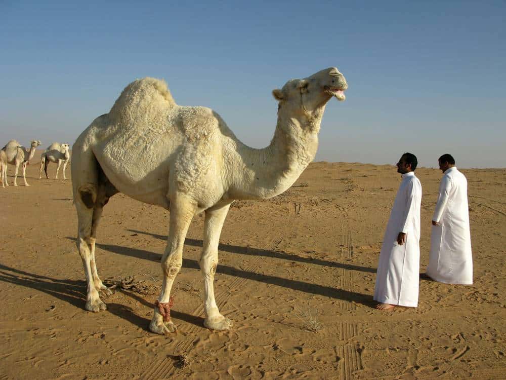 Saudi Arabia: “Vision 2030” Making Life Harder for Expats Abroad
