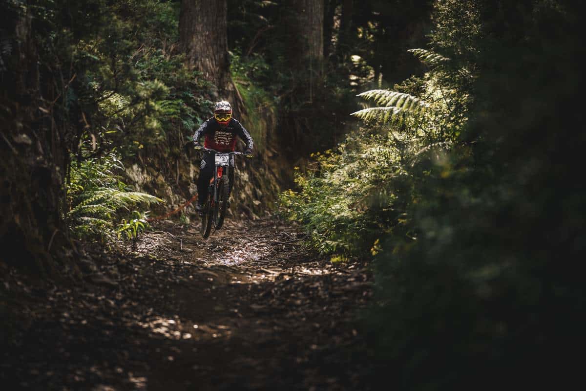Person on a motorcycle in the forest
