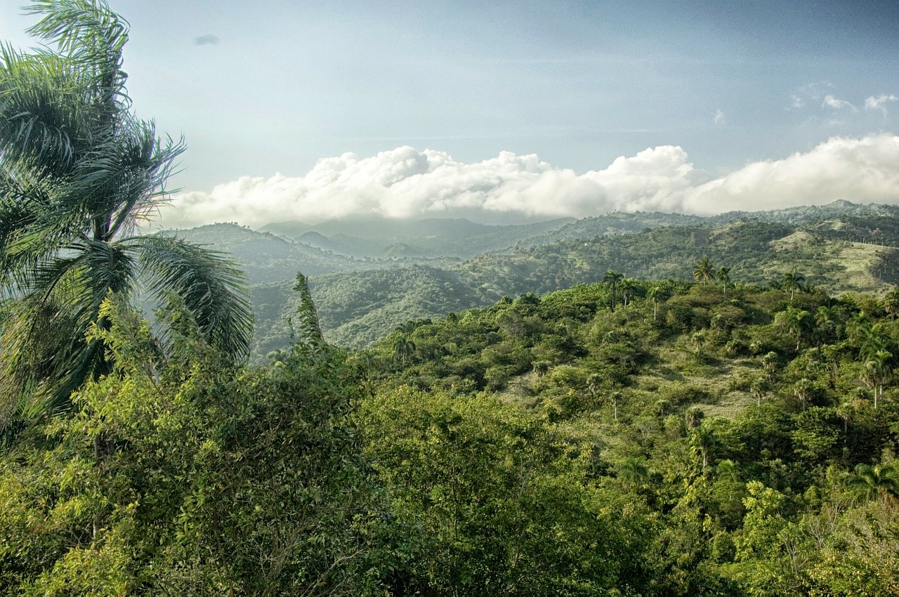 The How and Why of Retiring in the Dominican Republic