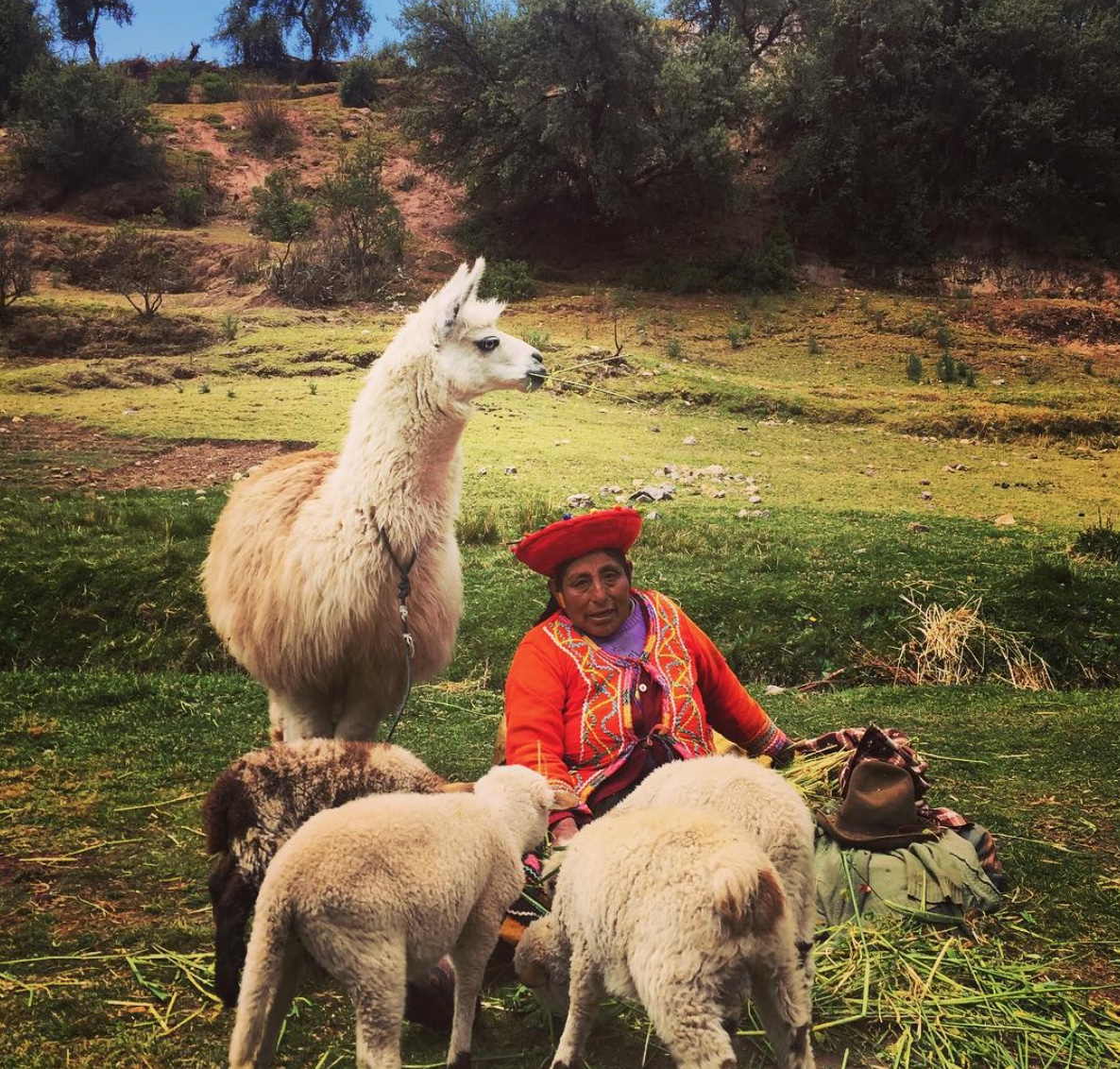 Working in Peru as an Expat