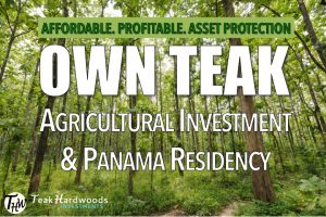 Panama teak investment