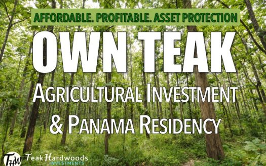 Panama teak investment