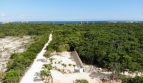 Lots for Sale in Playa del Carmen – 800 Square Meters