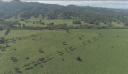 Colombia Farm Investment in Cattle Timber Coconuts