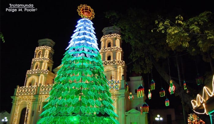 Christmas Tree in Colombia