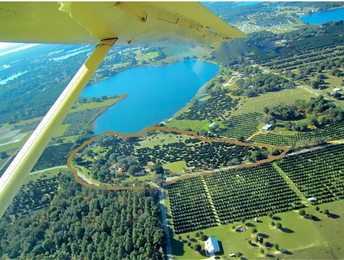 Florida home and orange grove