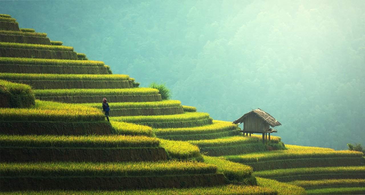 Agriculture Thailand