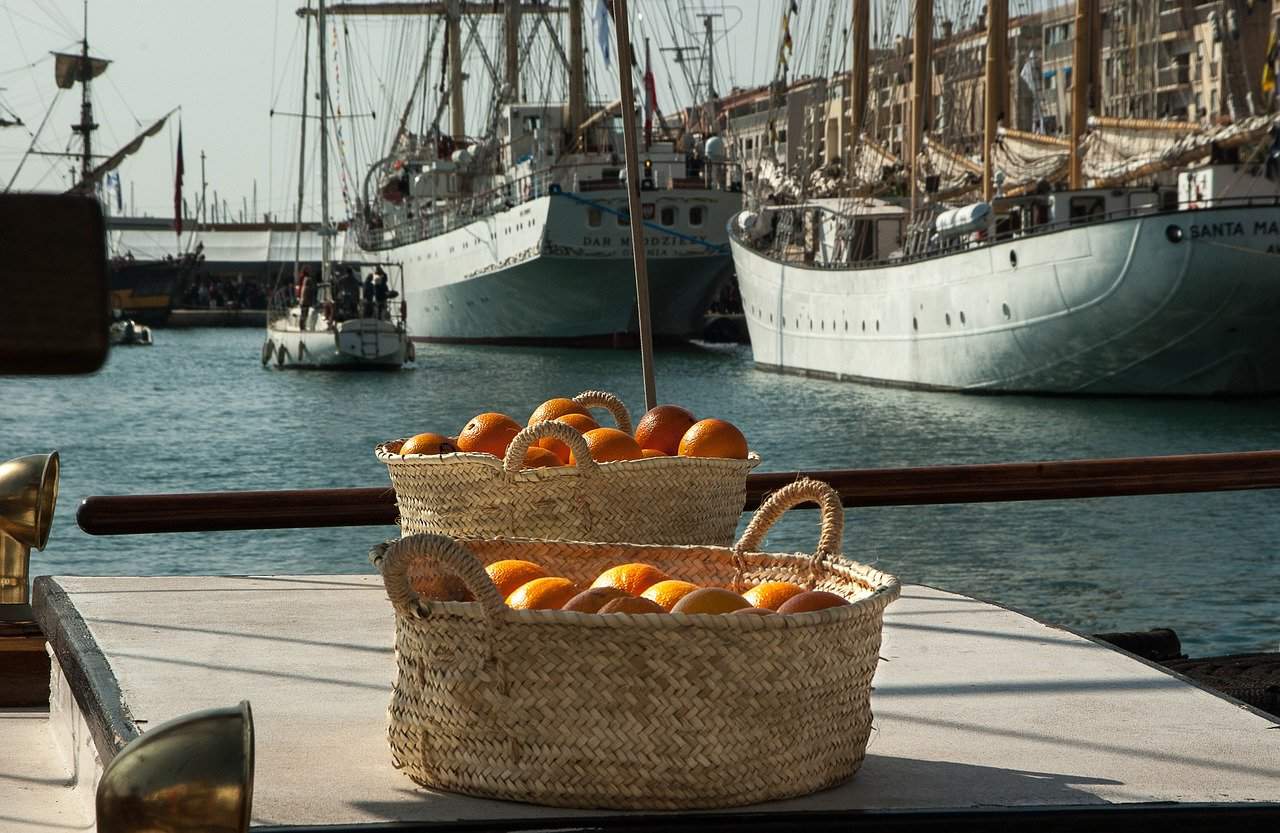 Basket of tomatoes in France