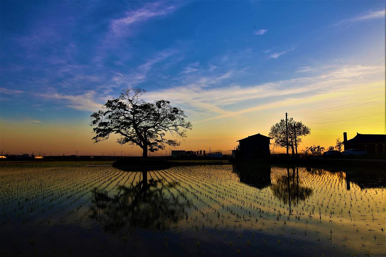 rural korea