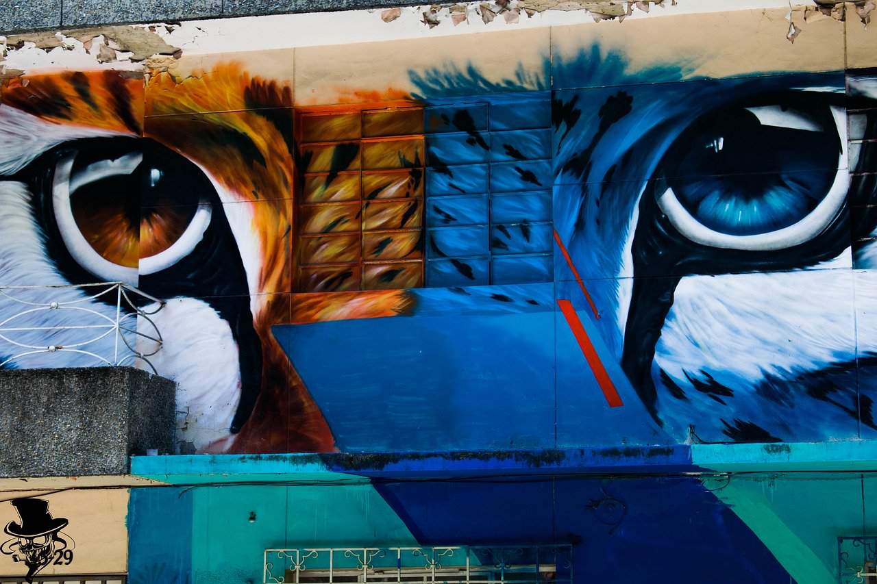 Colombian Graffiti