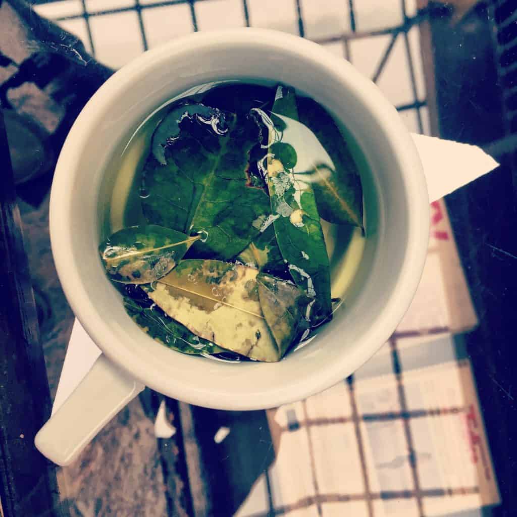 over view of cup of water with leaves in it