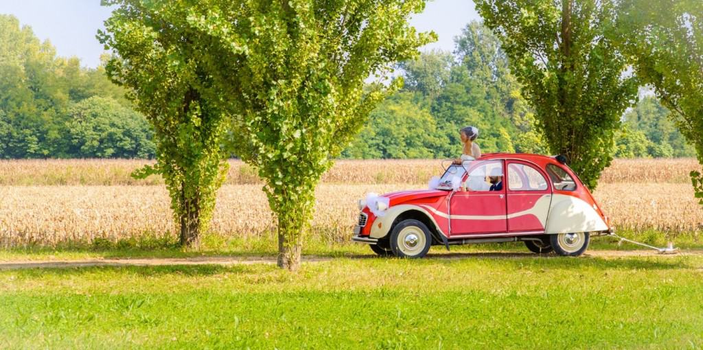 volkswagen car in field
