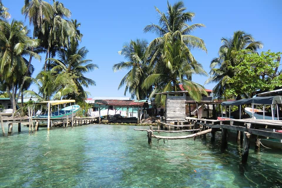 boats in the water docked with palm trees around