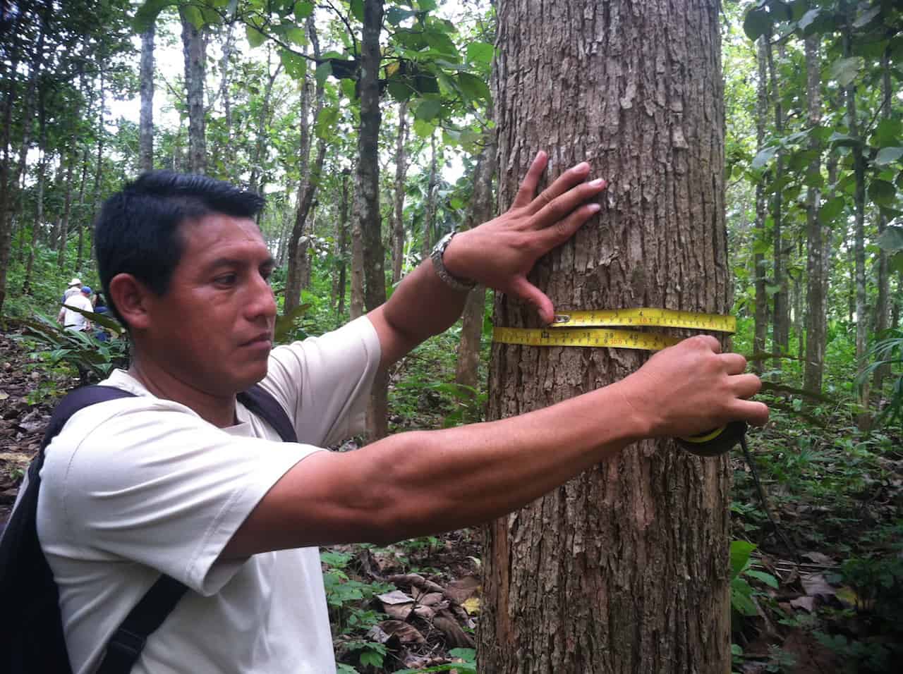 5 things you did not know about teak escape artist 5 things you did not know about teak