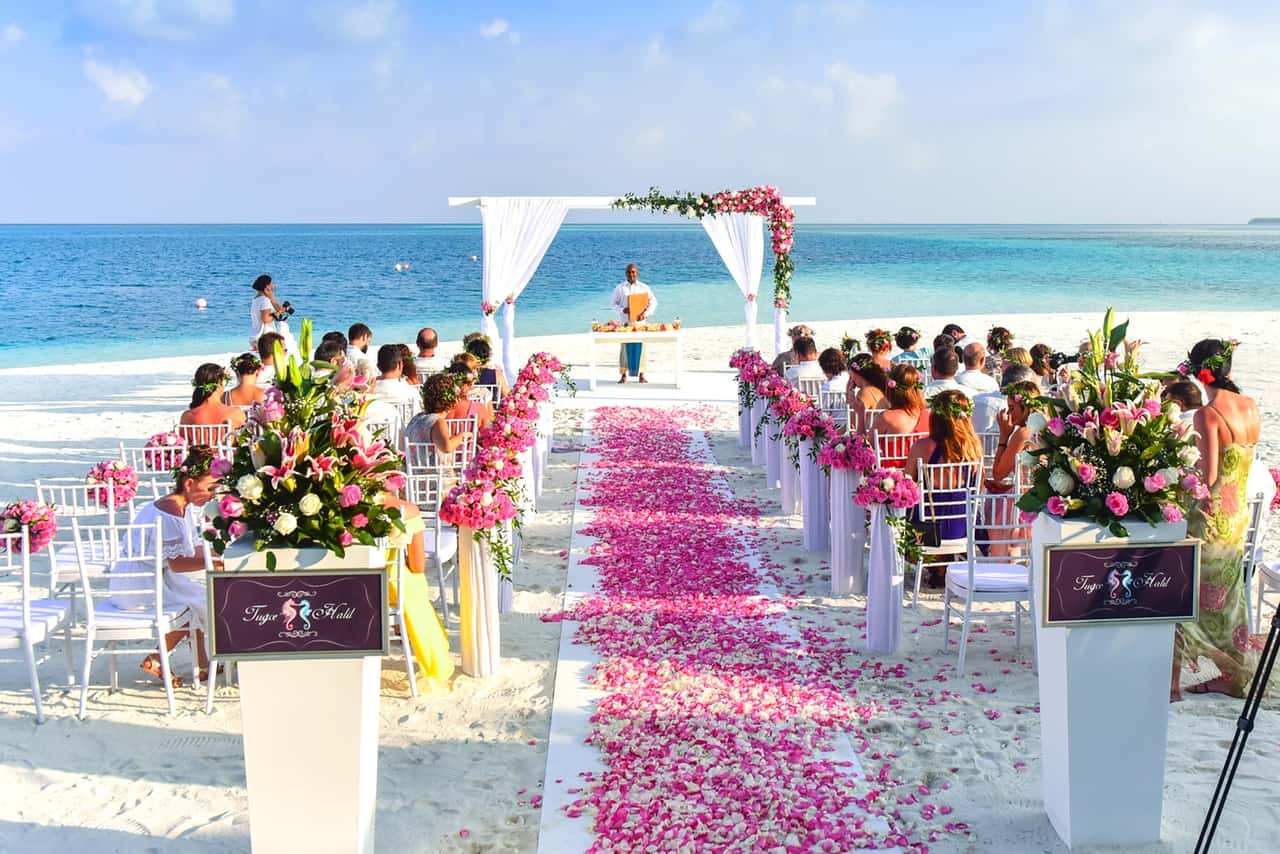 Walk way for bride on the beach with guests and minister