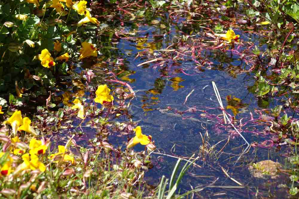 The Refugio and a Glorious Day in the High Valley