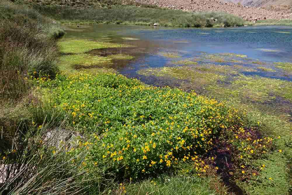 The Refugio and a Glorious Day in the High Valley
