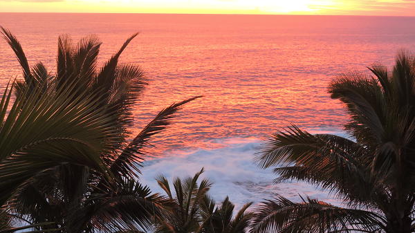 The Paradise You Never Heard Of...