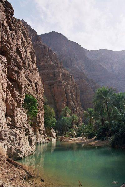 A Sultan's Arabia
