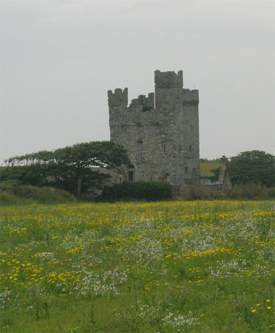 Castle in Ireland