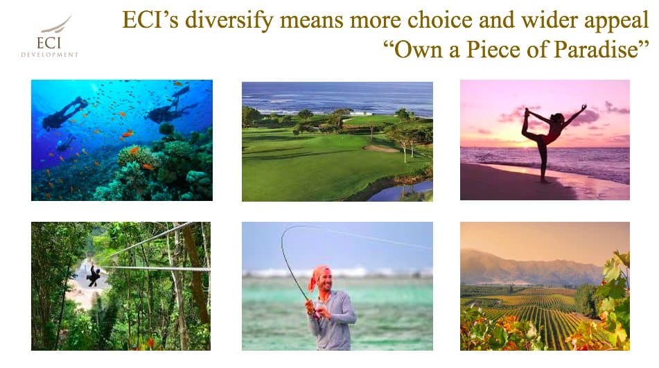 The Cash-Out Crisis and Coming Crash