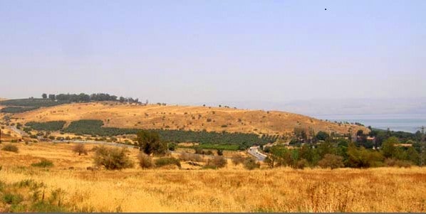 The Hidden Holy Land