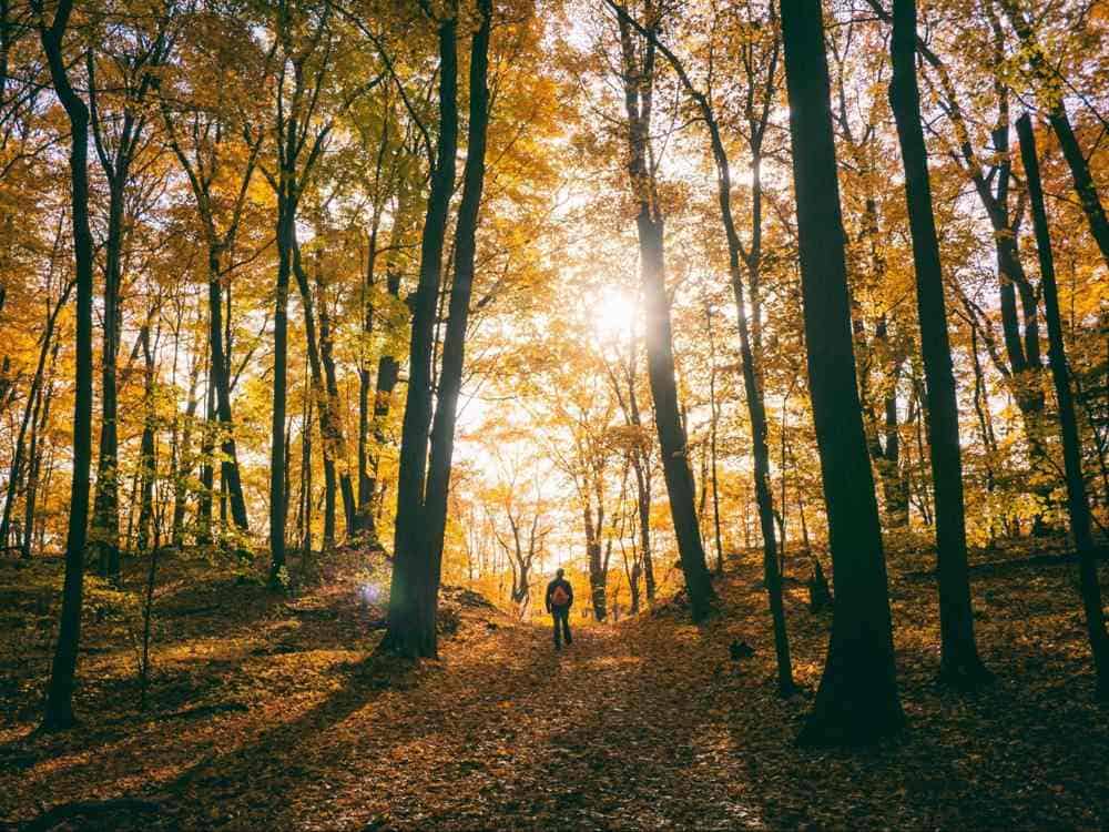 How to Stay Young at Heart When You Retire in Australia