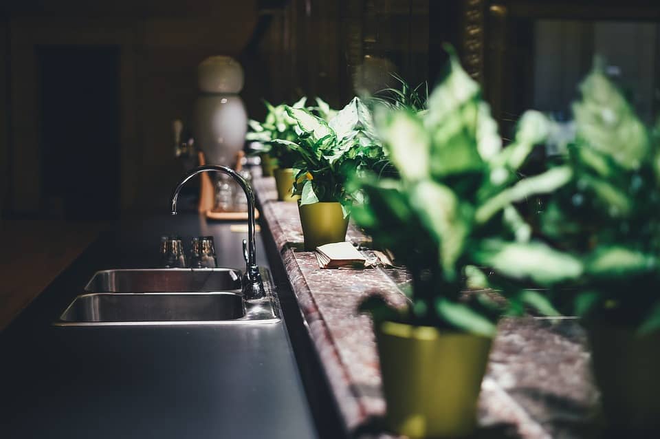 Sink with plants lined up