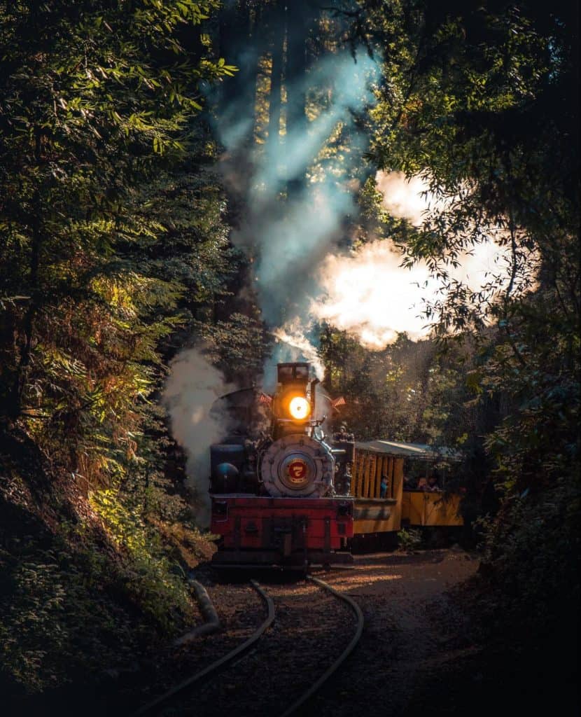 Train Engine going through the forest
