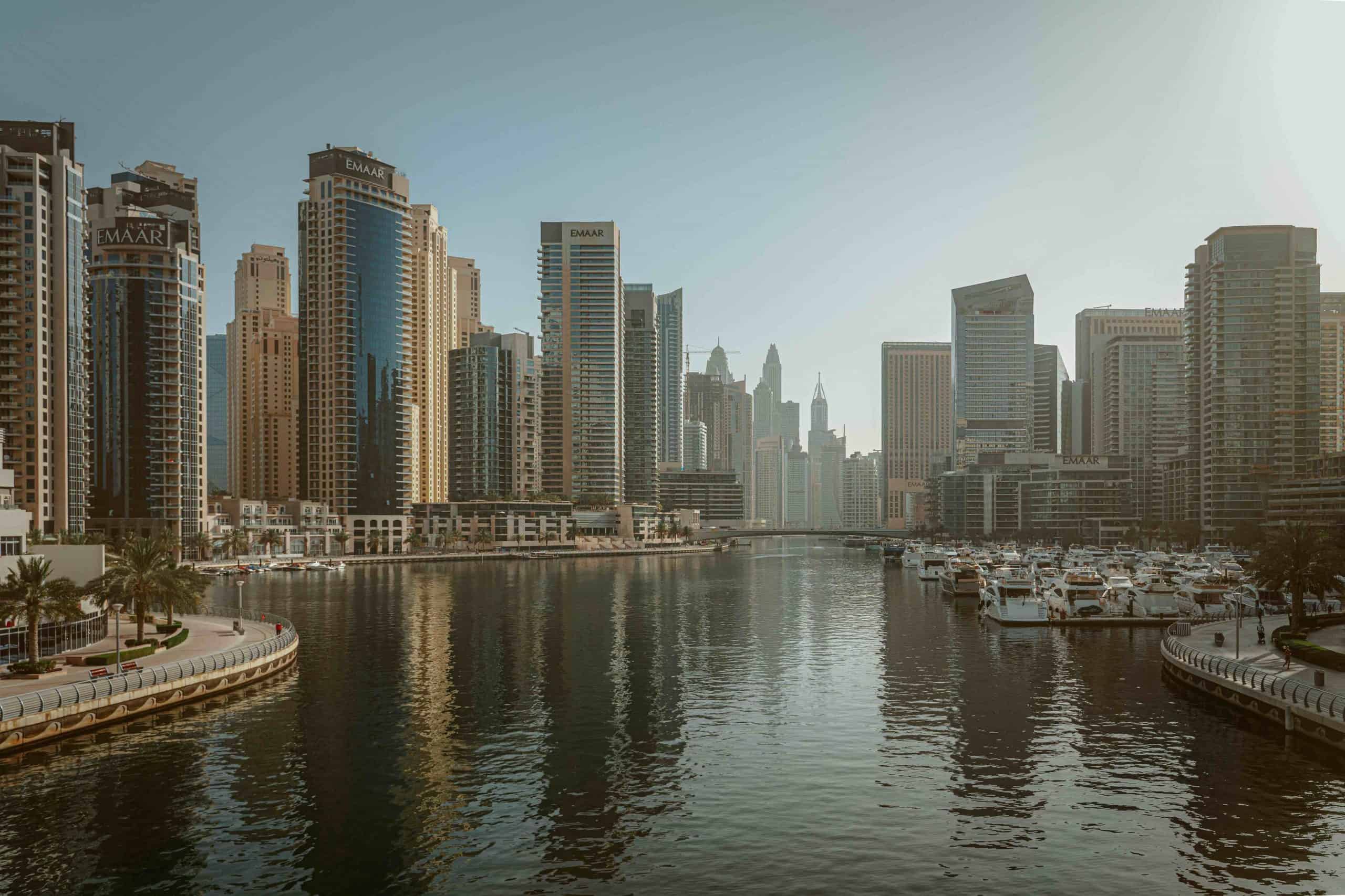 highrise buildings behind a beautiful river in the middle of the city