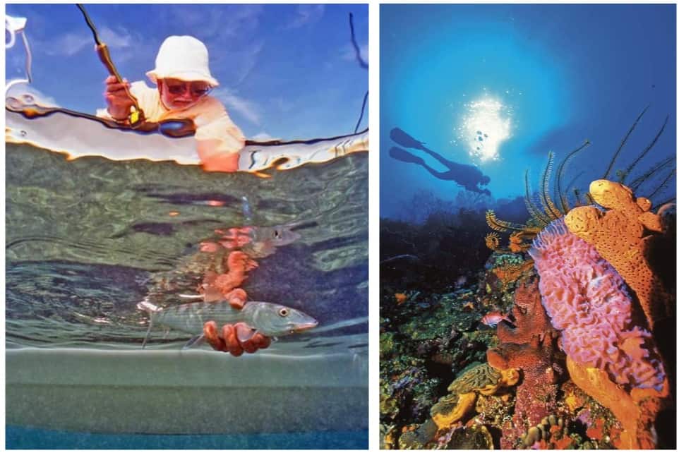 Belize is the Place to Be in 2018