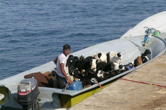 Smugglers’ Paradise
