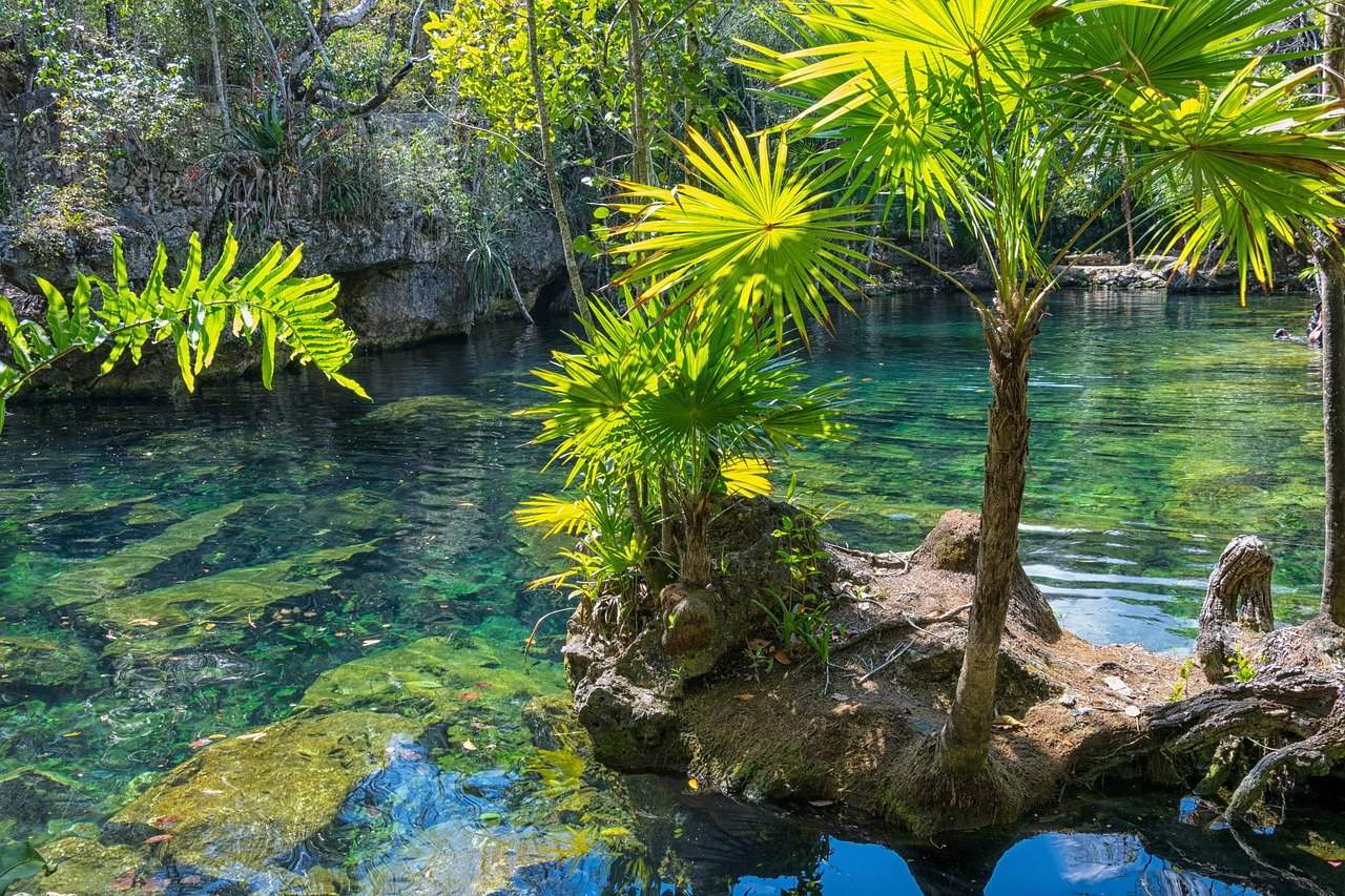 Mexican cenote