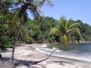Grenada’s Top 6 Ecotourism Destinations
