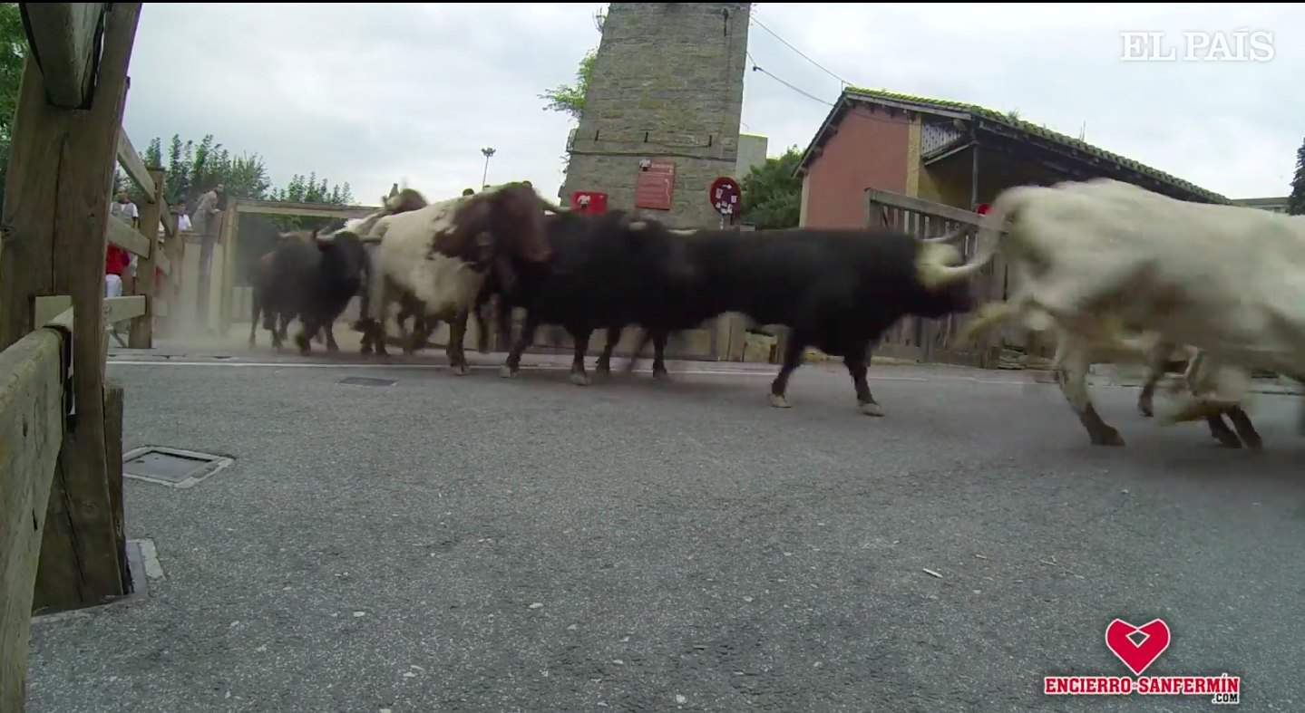 Running with the Bulls