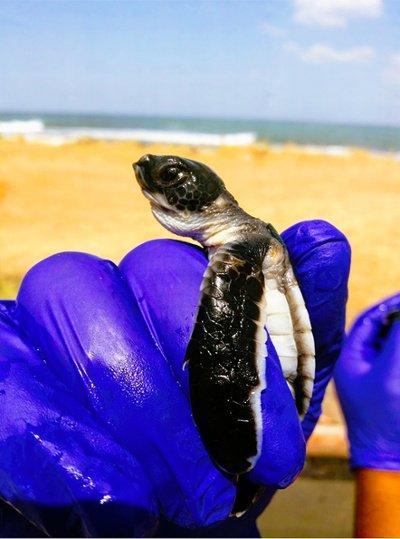 Why This Nicaraguan Beach Resort Stays Open Despite Crisis