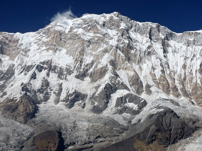Himalayan